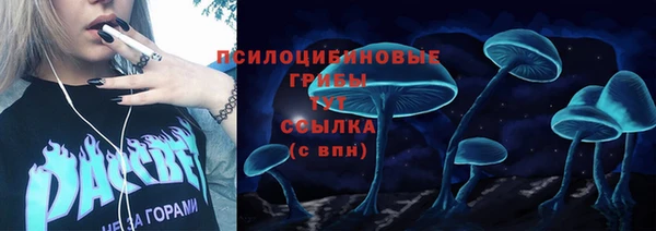 ПСИЛОЦИБИНОВЫЕ ГРИБЫ Горнозаводск