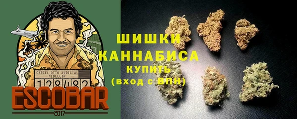 ПСИЛОЦИБИНОВЫЕ ГРИБЫ Горнозаводск