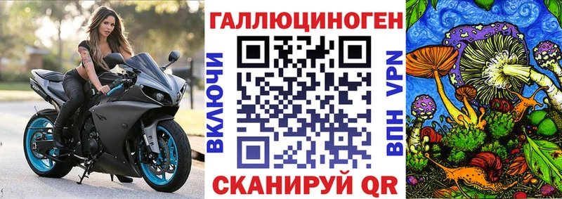 Псилоцибиновые грибы Magic Shrooms  Купить  Печора 